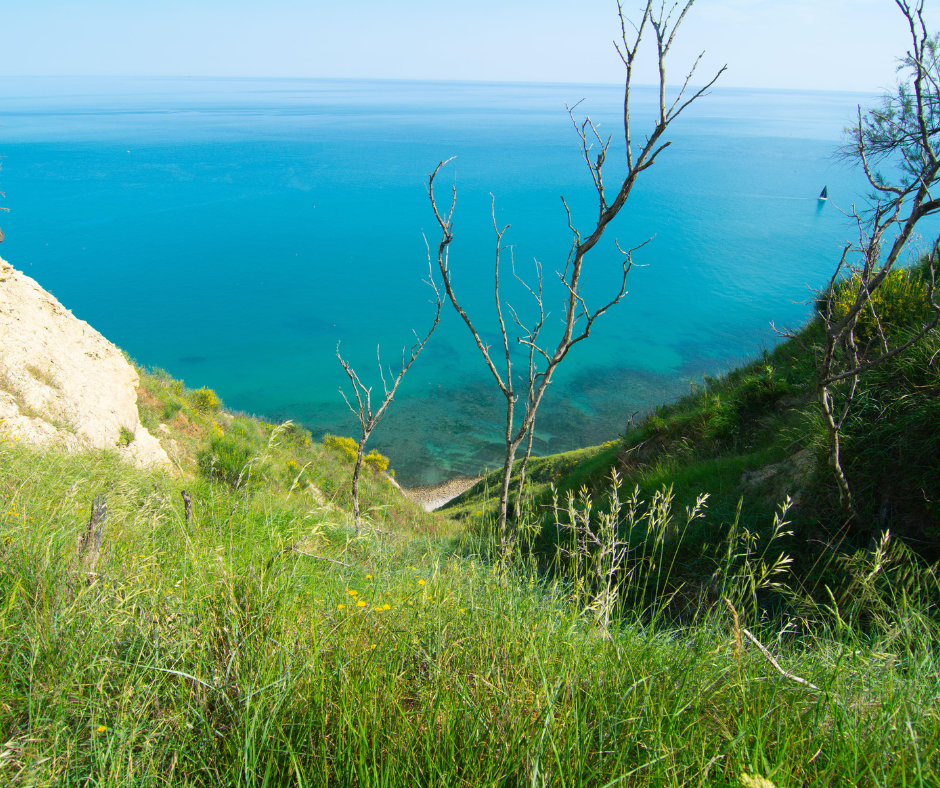 immagini da portare per programmi (12)