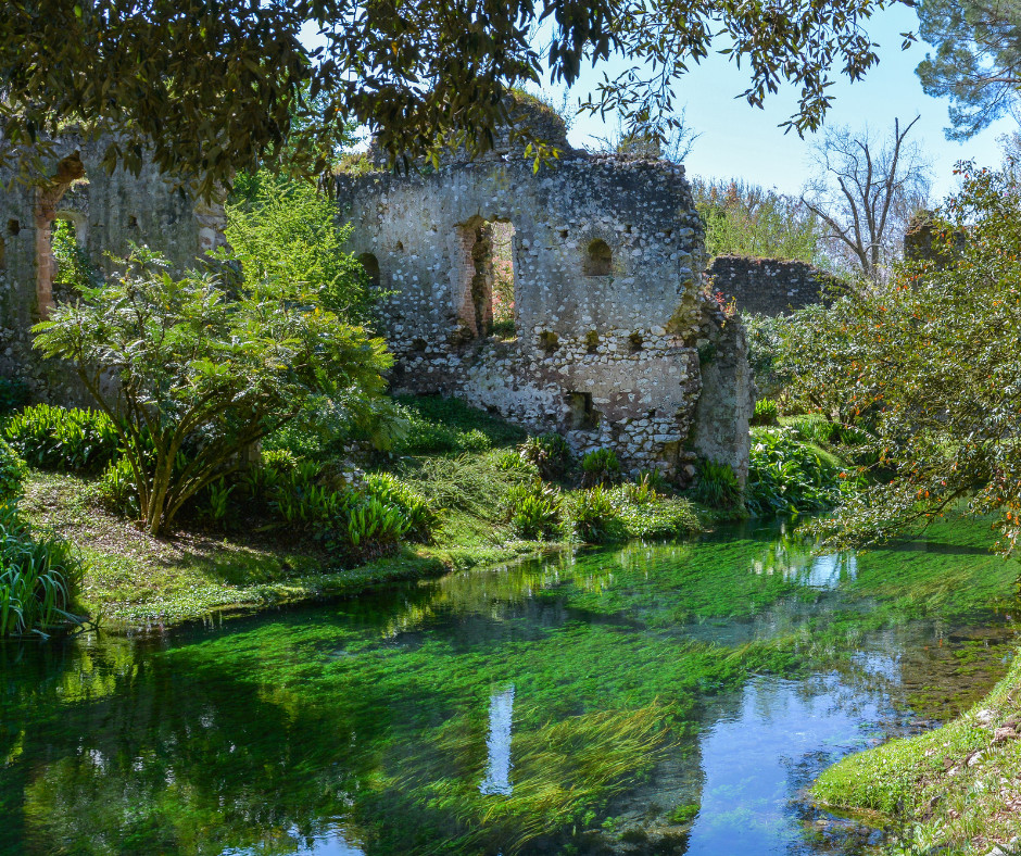 immagini da portare per programmi (16)