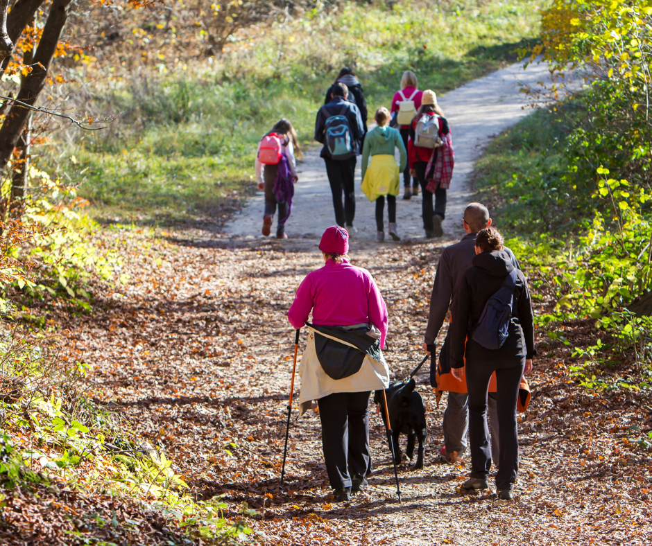 immagini da portare per programmi (19)